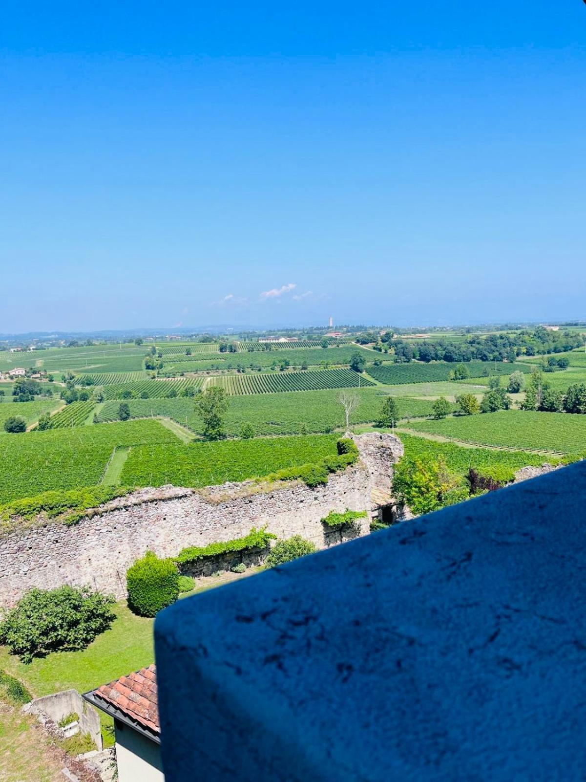 Tam'S Tower Apartment Pozzolengo Bagian luar foto